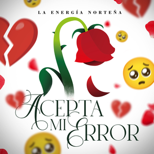 Acepta mi Error