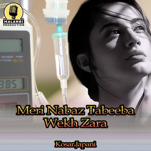 Meri Nabaz Tabeeba Wekh Zara (1)