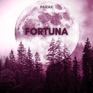 FORTUNA