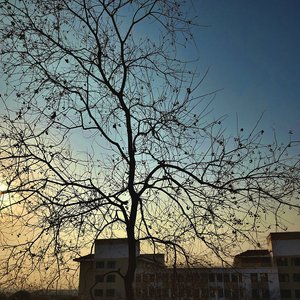 我承认我不快乐