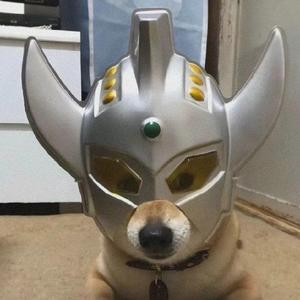 剑伤【悲伤版】