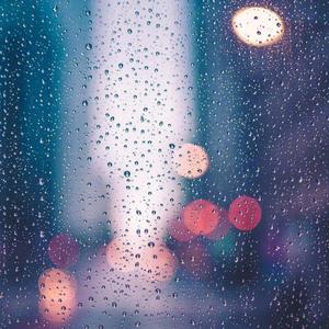 我不知道那是最后一次和你见面