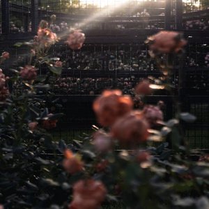 Miss U  .PROD by(jianastic.X))