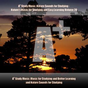 Study Nature Sounds - Atmosphere, Ambience and Beta Binaural Beats for Studying - Sclerophyll Forests: Brain Power, Problem Solving, Reading, Concentration