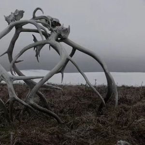 荒原Desolation(prod.tired X elevennolost)