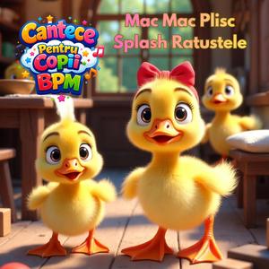 Mac Mac Plisc Splash Ratustele