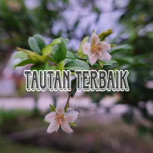 Tautan Terbaik