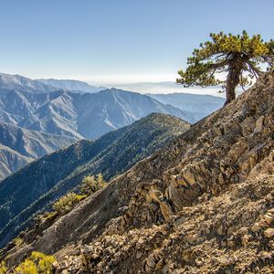 我多想你会是我唯一