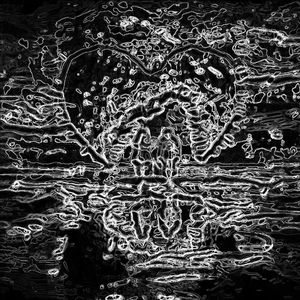 花开的时候(Prod by 仕宗圣)