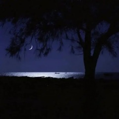 唯有碎银解千愁(男版0.9x)