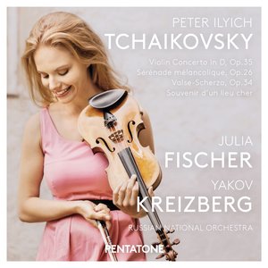 Violin Concerto in D Major, Op. 35, TH 59: I. Allegro moderato