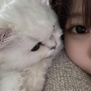 没有如果（比伯AI版）