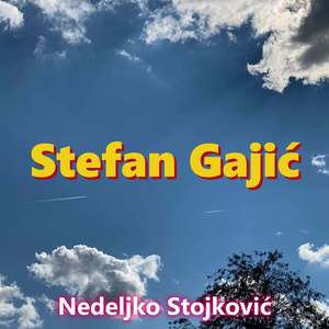 Stefan Gajić