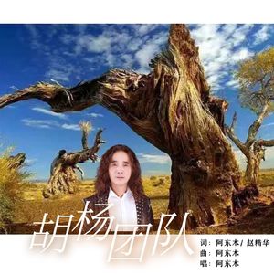 胡杨团队