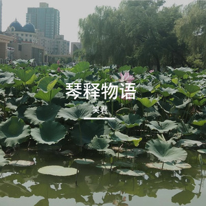 森林啊(人声加伴奏wav)