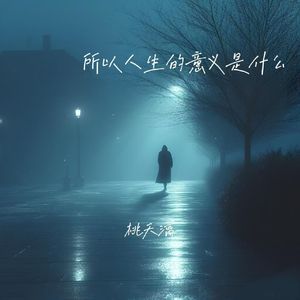 所以人生的意义是什么