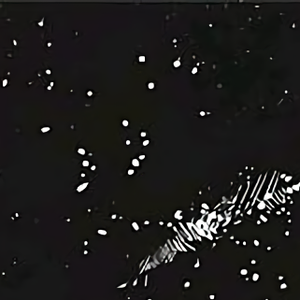 星