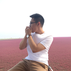 take me home,country roads（蓝调口琴）