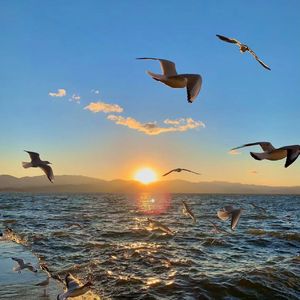 松风竹韵里的古风雅乐