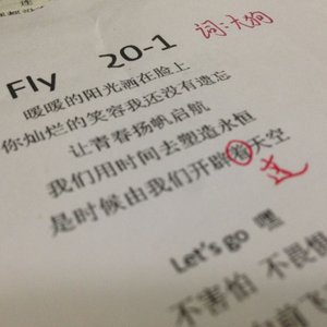 fly201