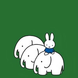 小白花-整曲 伴奏