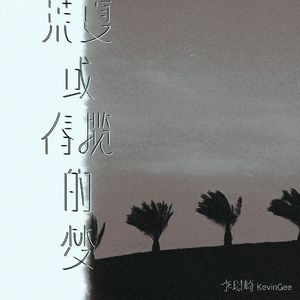 荒夏或春揽的梦（DJ版）