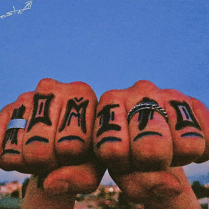 H.O.M.I.T.O