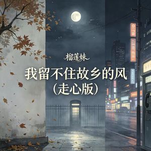 我留不住故乡的风（走心版）