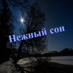 Ласковая звезда