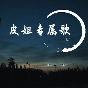 皮姐专属歌