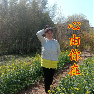 心由你在