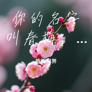 你的名字叫春梅，对吗
