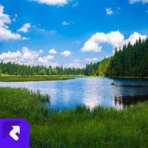 消散的执念 (钢琴曲)