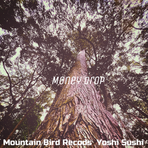 Money Drop (Original Mix)