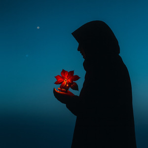 小さな世界に降る光