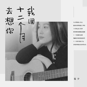 我用十二个月去想你