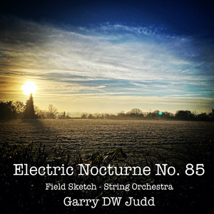 Electric Nocturne No. 85 - Field Sketch
