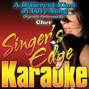A Different Kind of Love Song (Originally Performed by Cher) [Instrumental]