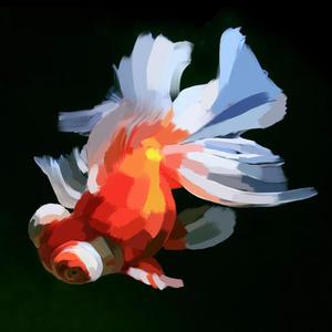 Lil' Goldfish（翻自 まりか）