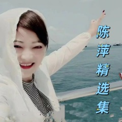 远去的星空 (Live)