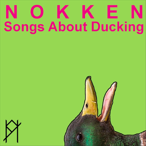 Wood Duck