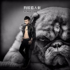 狗眼看人低 (DJ Boeing Remix)