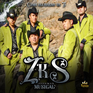 El Tiempo Que Has Llorado