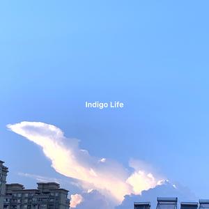 Indigo Life