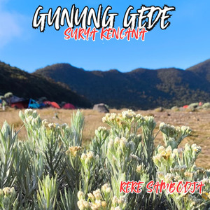Gunung gede Surya kencana