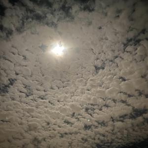 Blue.01 (Instrumental)