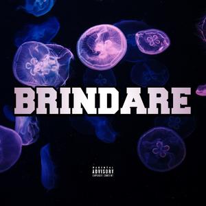 Brindare