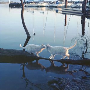 日落相册中的浪漫集