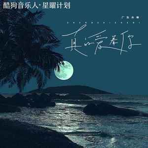 真的爱着你 (DJR7版)