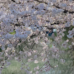 あの時の不思議な君